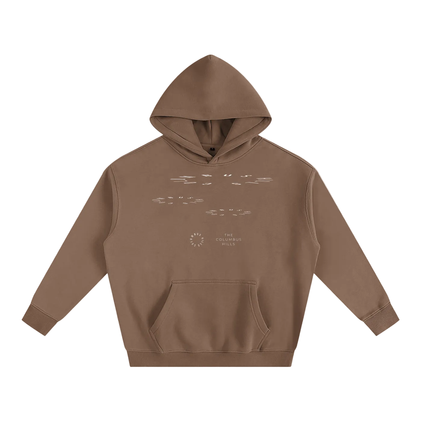 Flying UAP Fleeced Hoodie