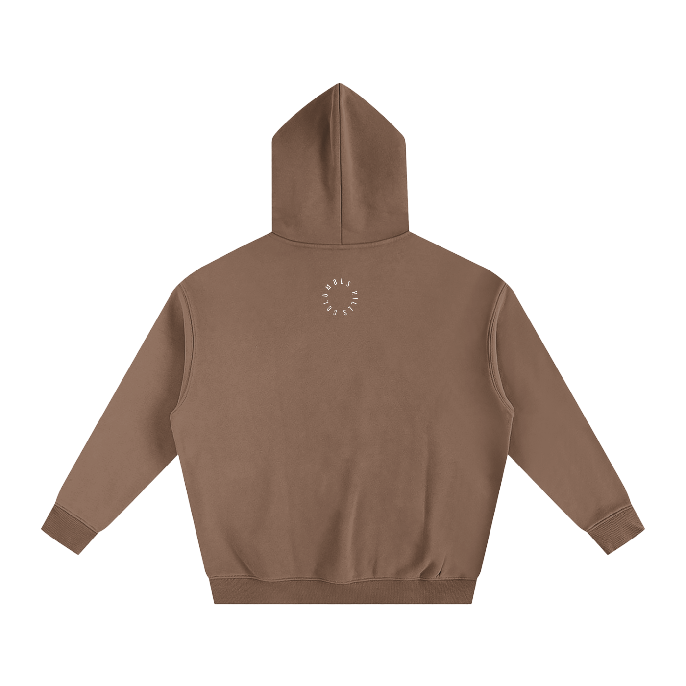 Flying UAP Fleeced Hoodie