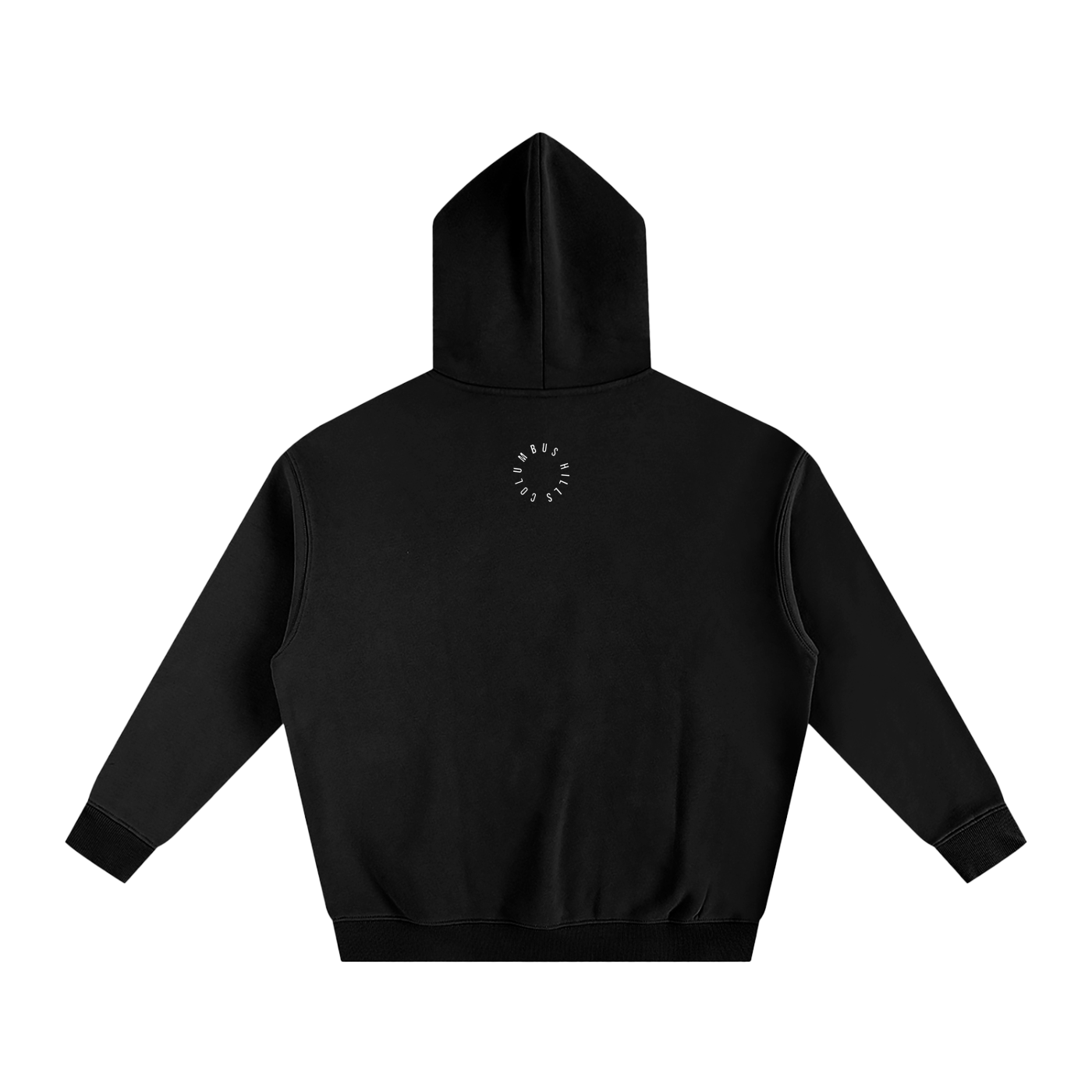 Flying UAP Fleeced Hoodie